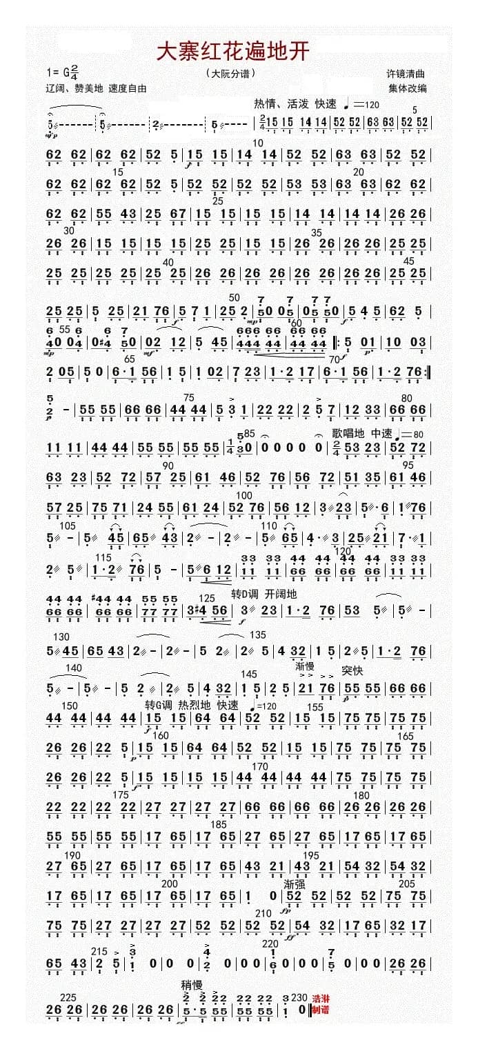 大寨红花遍地开（大阮（修改版））