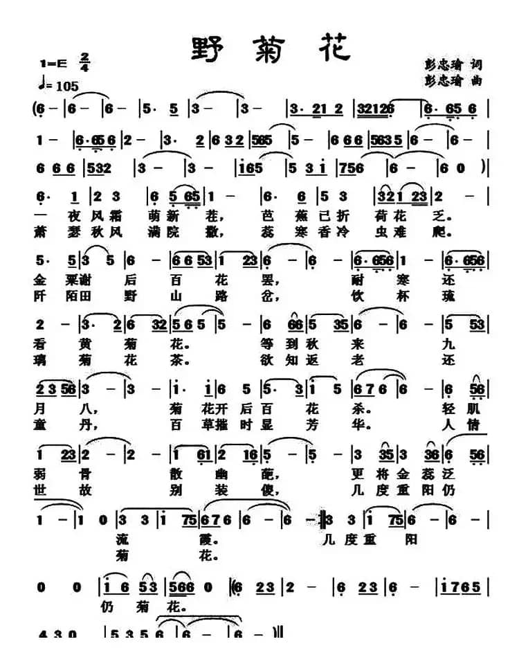 野菊花（彭忠瑜 词曲）