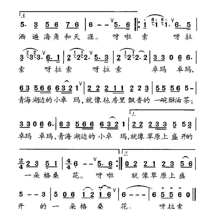 青海湖边的小卓玛