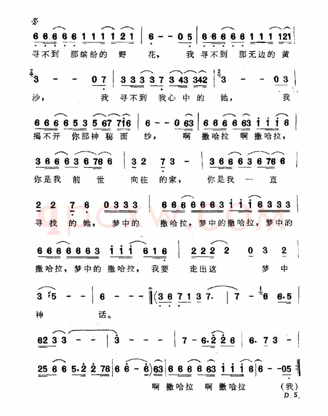 梦中的撒哈拉