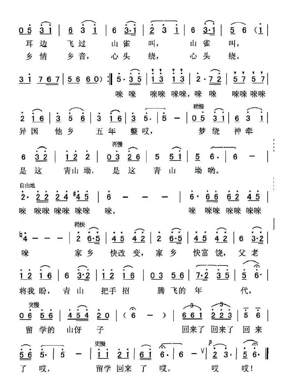 留学的山妹子回来了