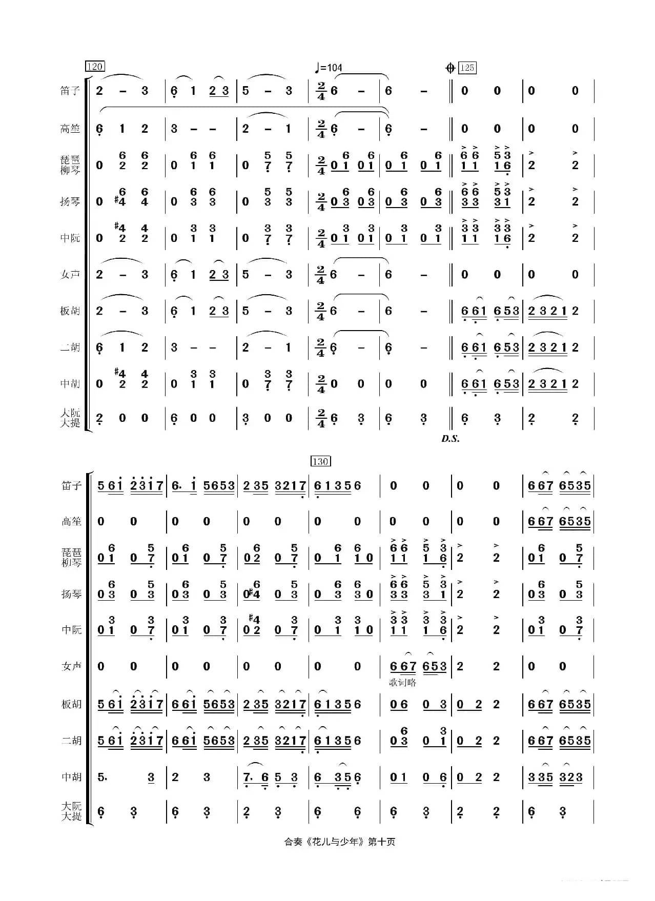 花儿与少年（民乐合奏）