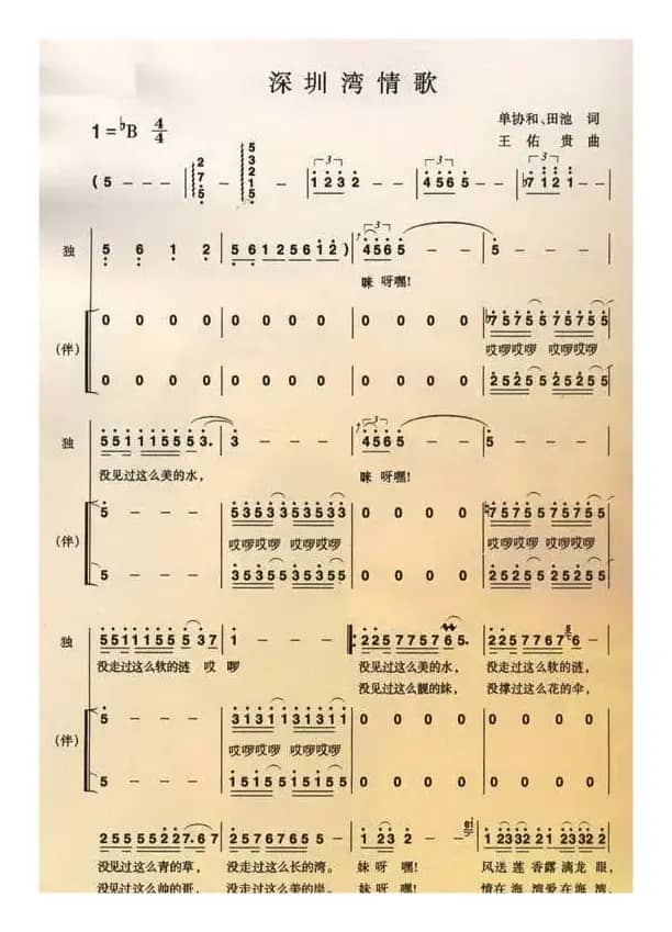 深圳湾情歌
