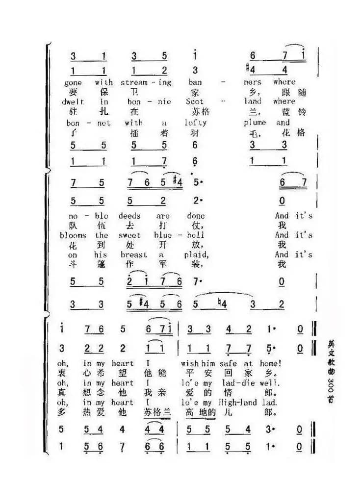 苏格兰的蓝铃花