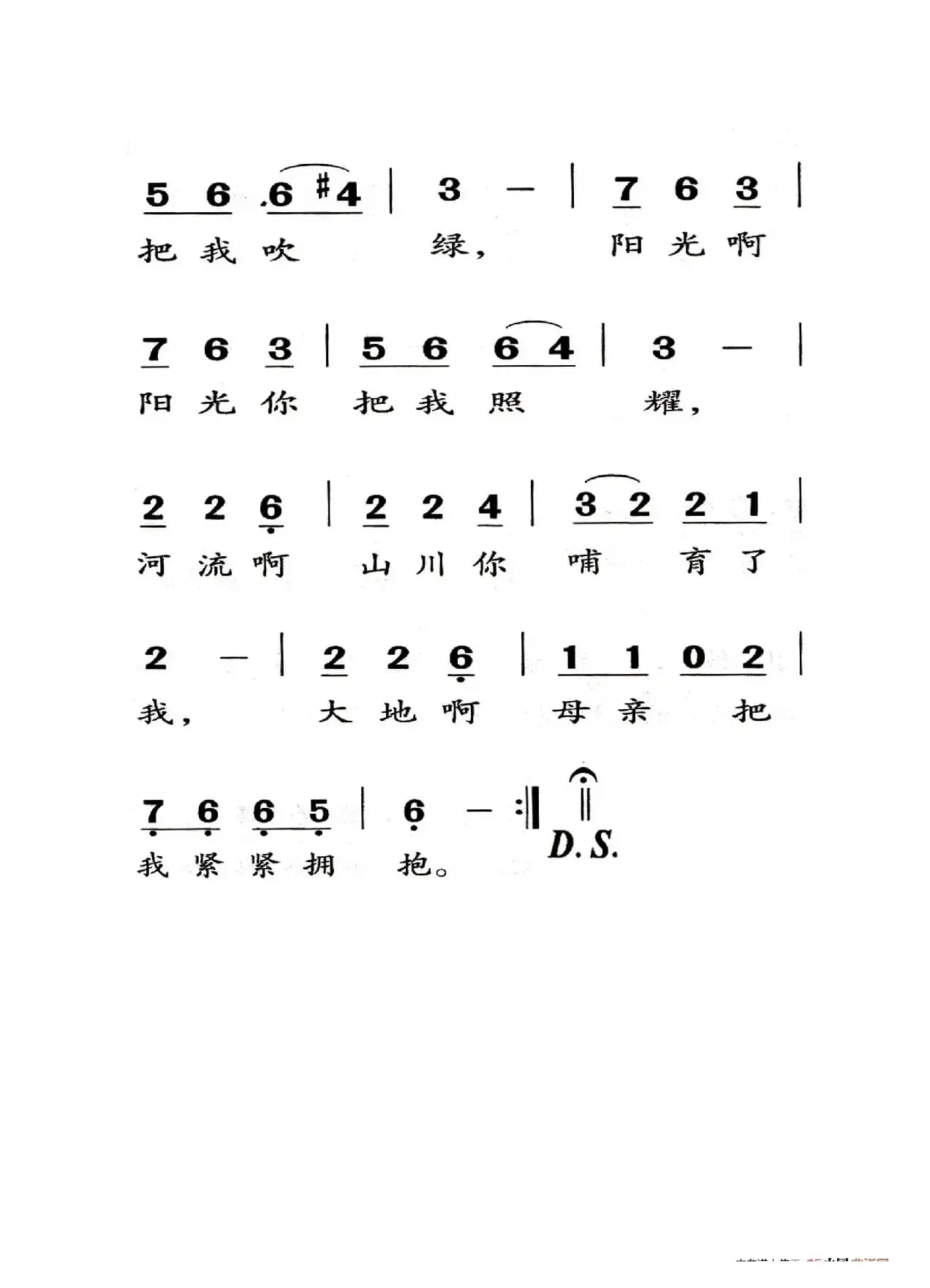 小草（老人适用）