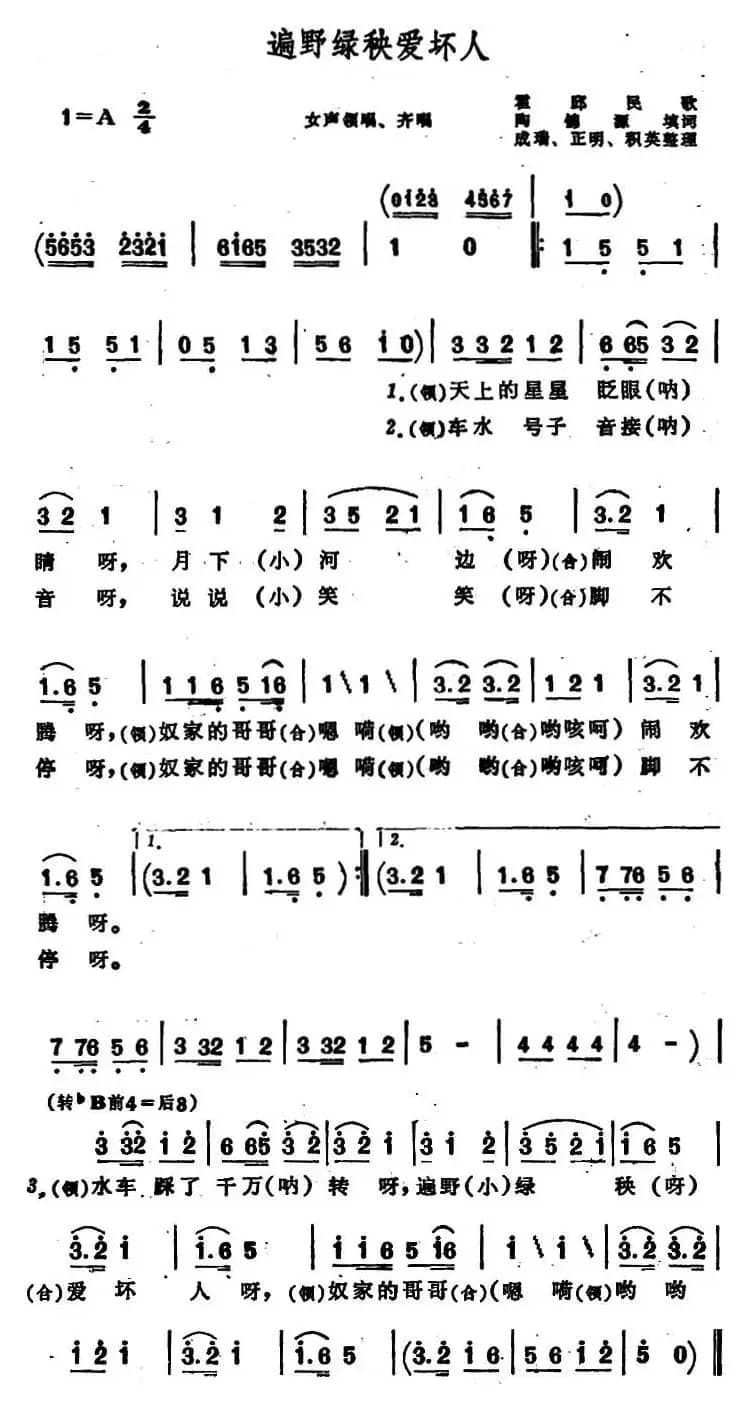 遍野绿秧爱坏人 （安徽霍邱民歌）