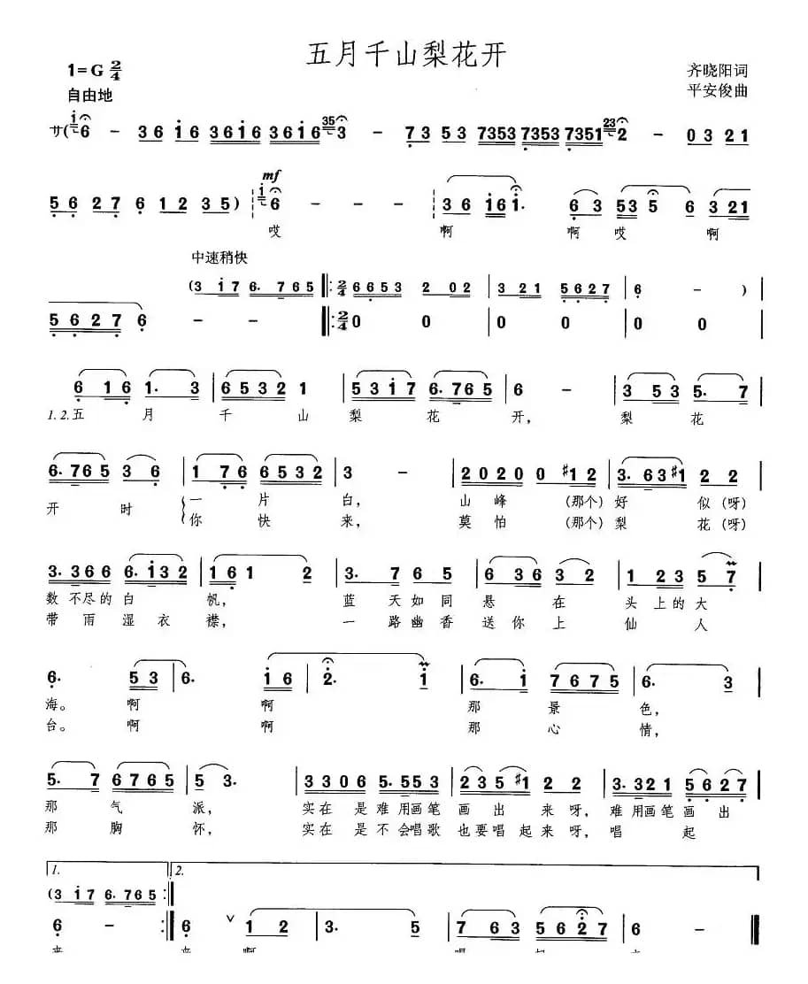 五月千山梨花开