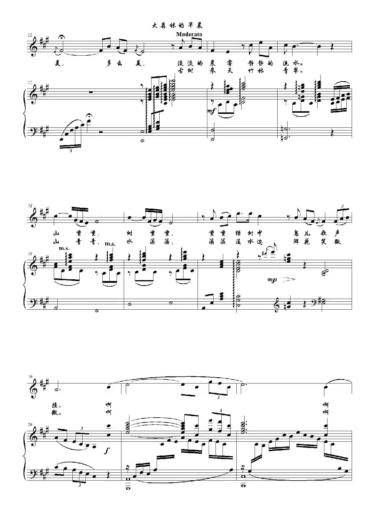 大森林的早晨（A调正谱）