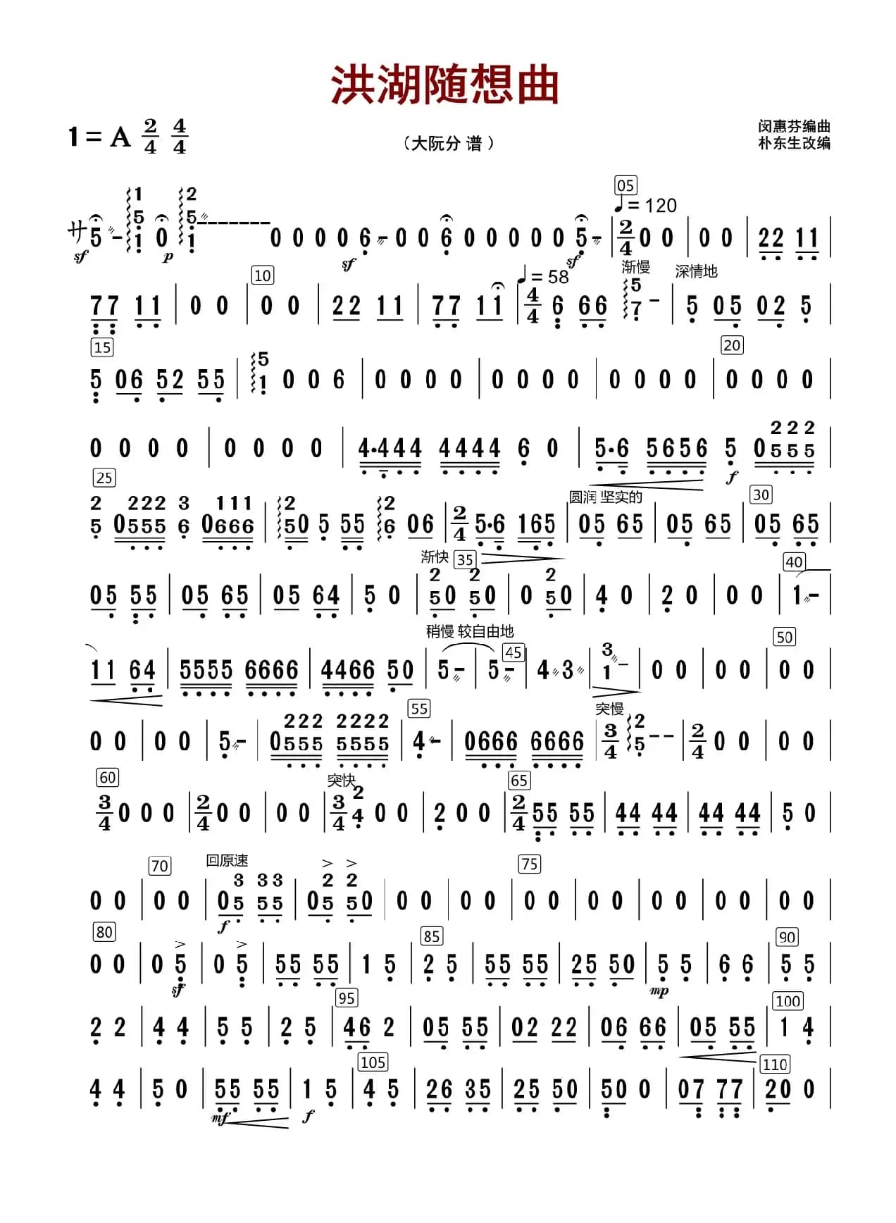 洪湖随想曲（大阮分谱）