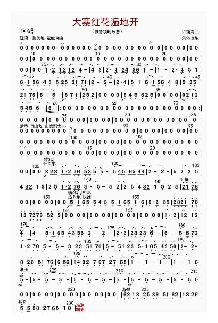 大寨红花遍地开（低音唢呐分谱）