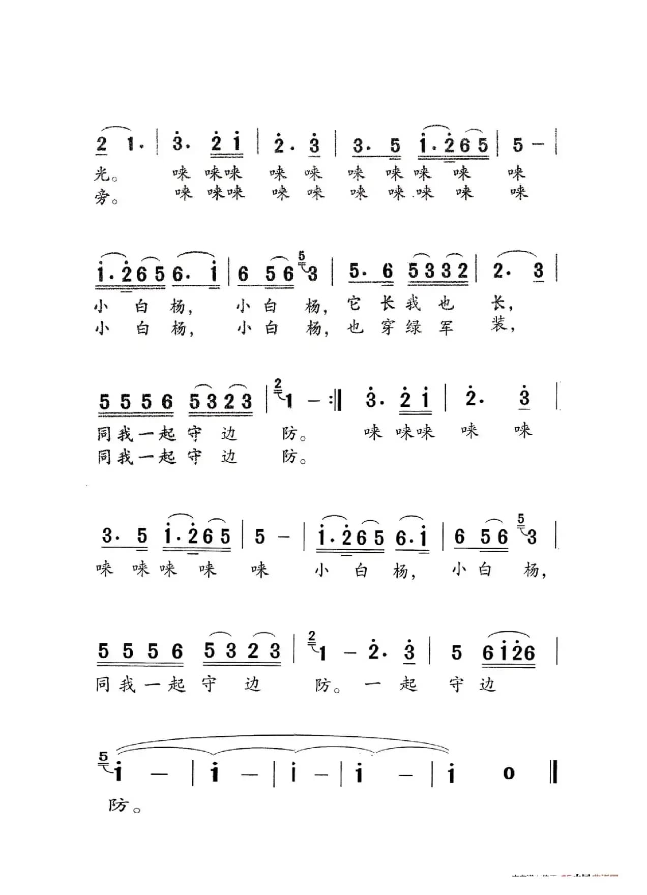 小白杨（老人适用）