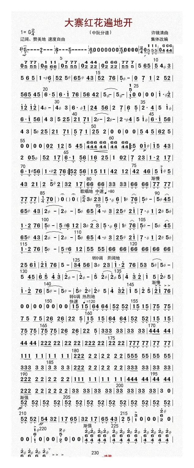 大寨红花遍地开（中阮（修改版））