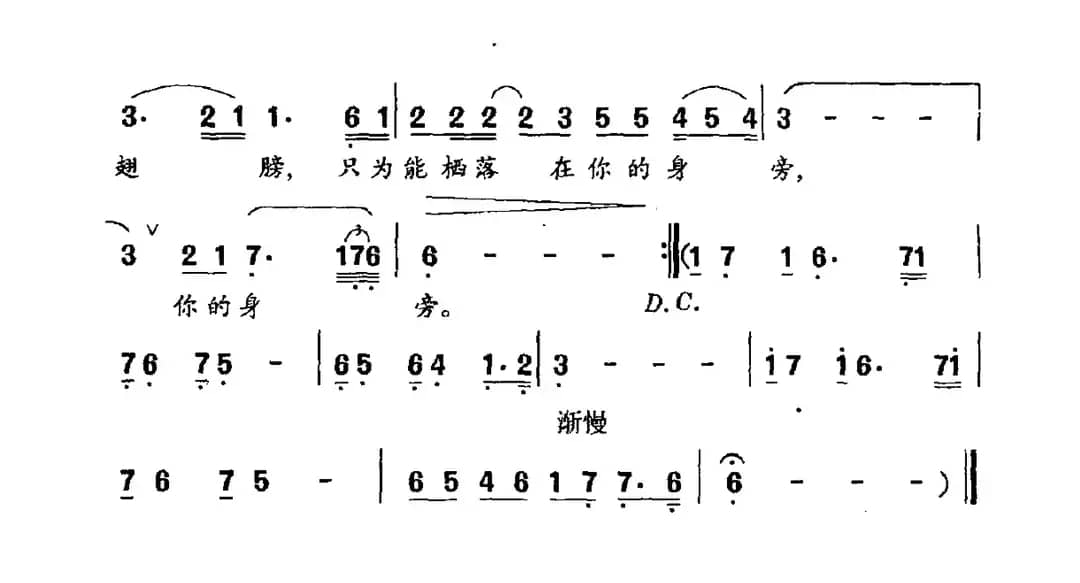 一支烛光半个月亮