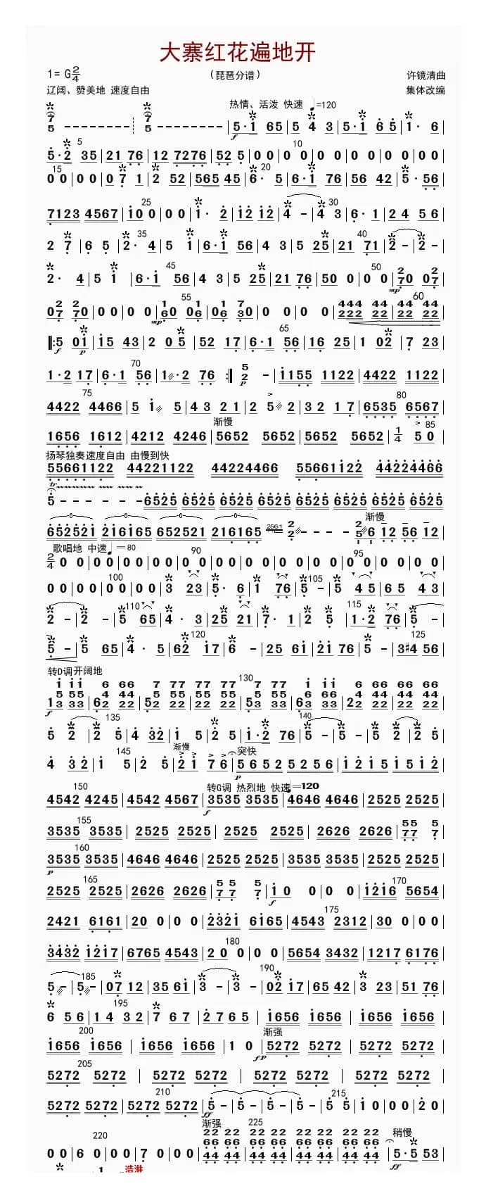 大寨红花遍地开（琵琶分谱）