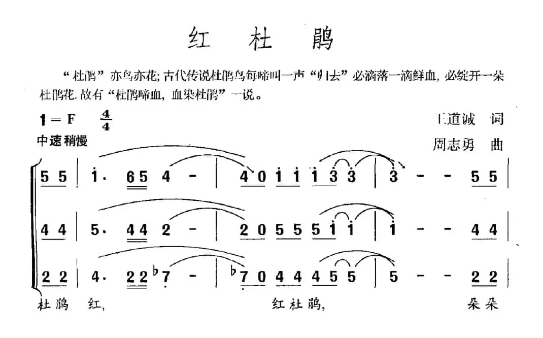 红杜鹃（王道诚词 周志勇曲）