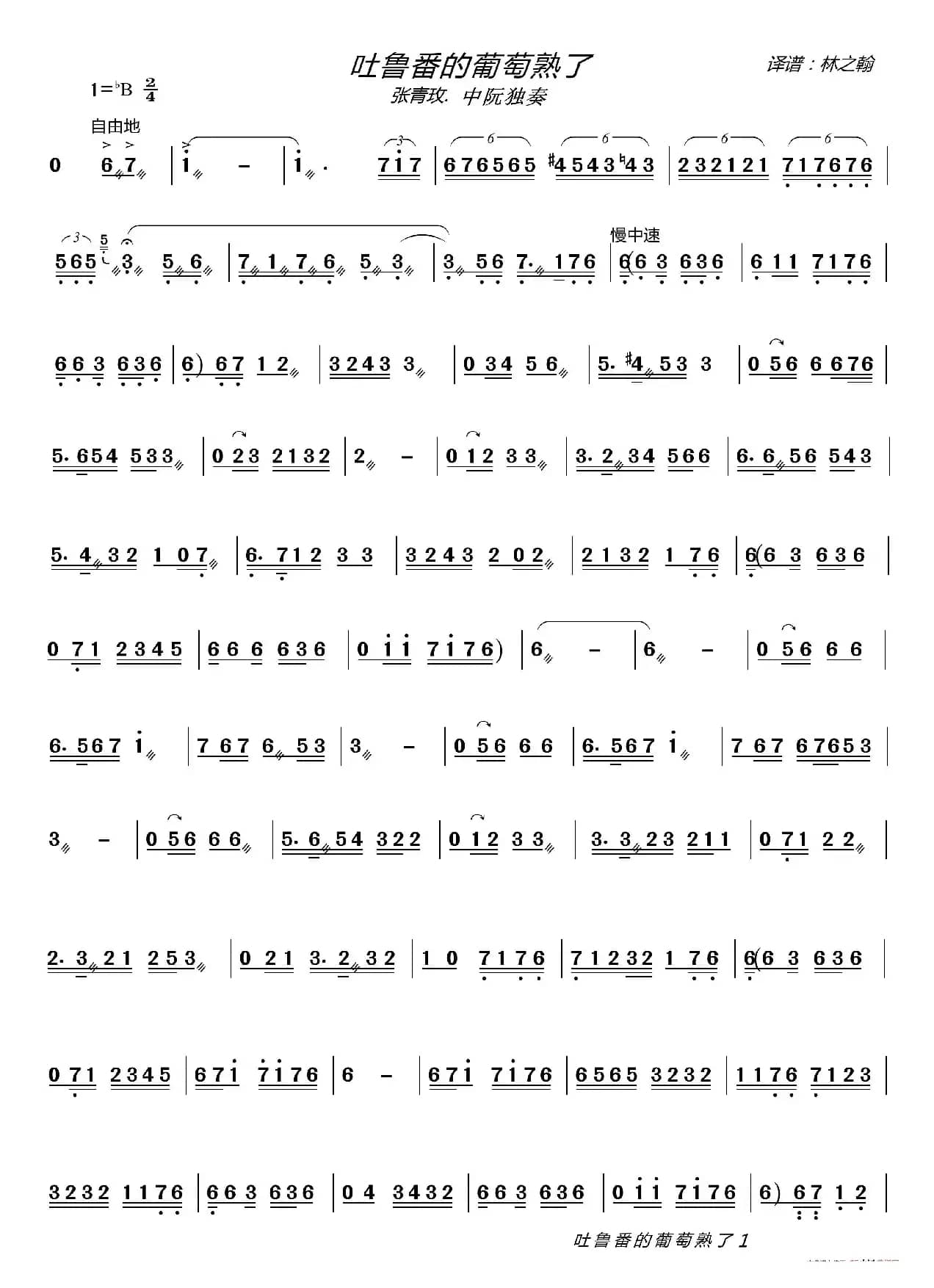 吐鲁番的葡萄熟了（中阮独奏）