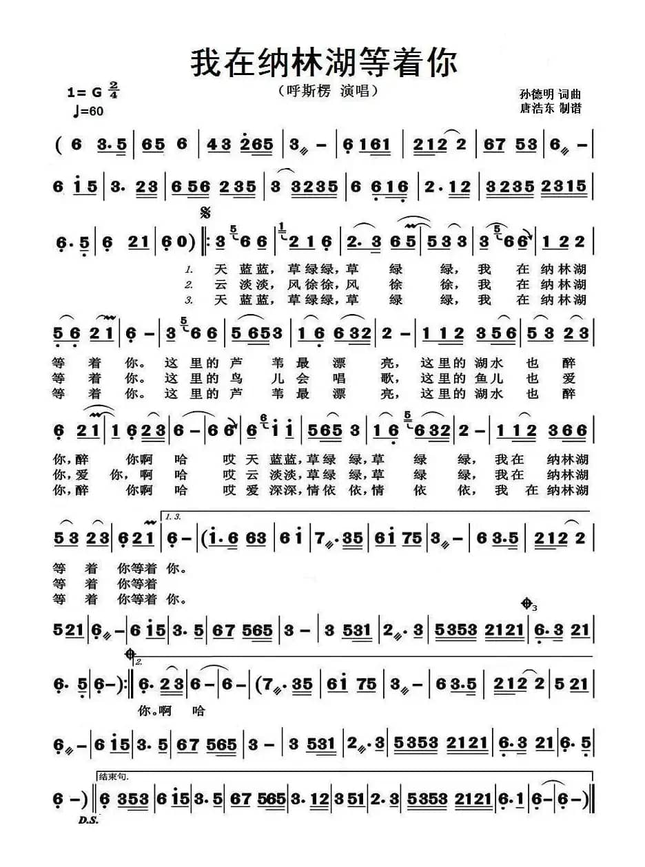 我在纳林湖等着你