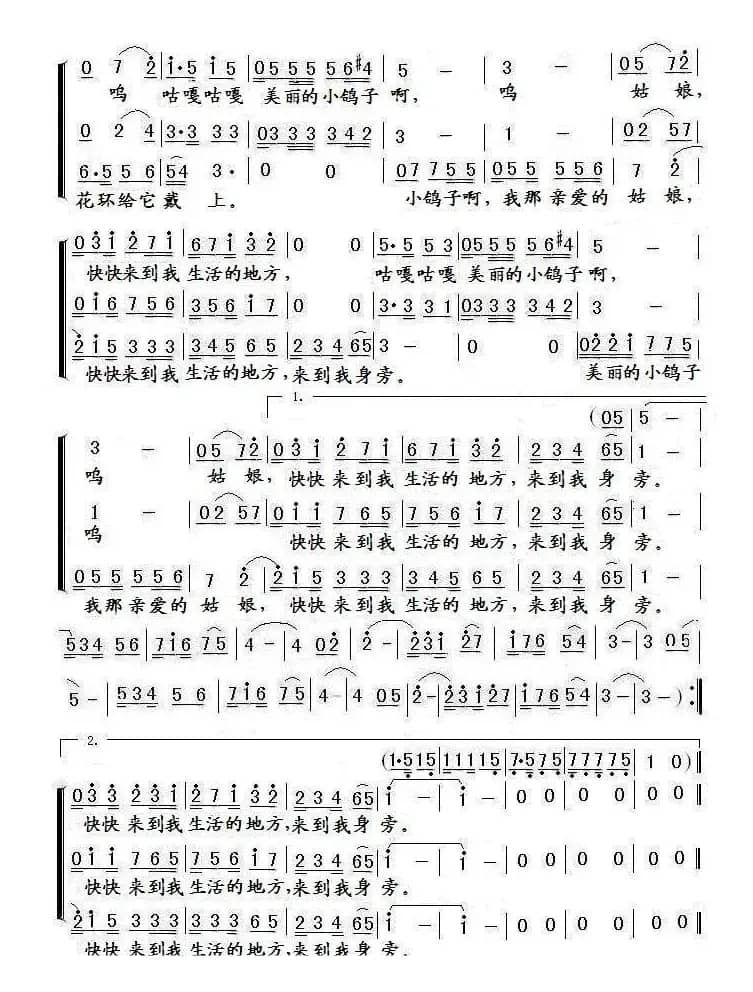 鸽子（梦之旅版）