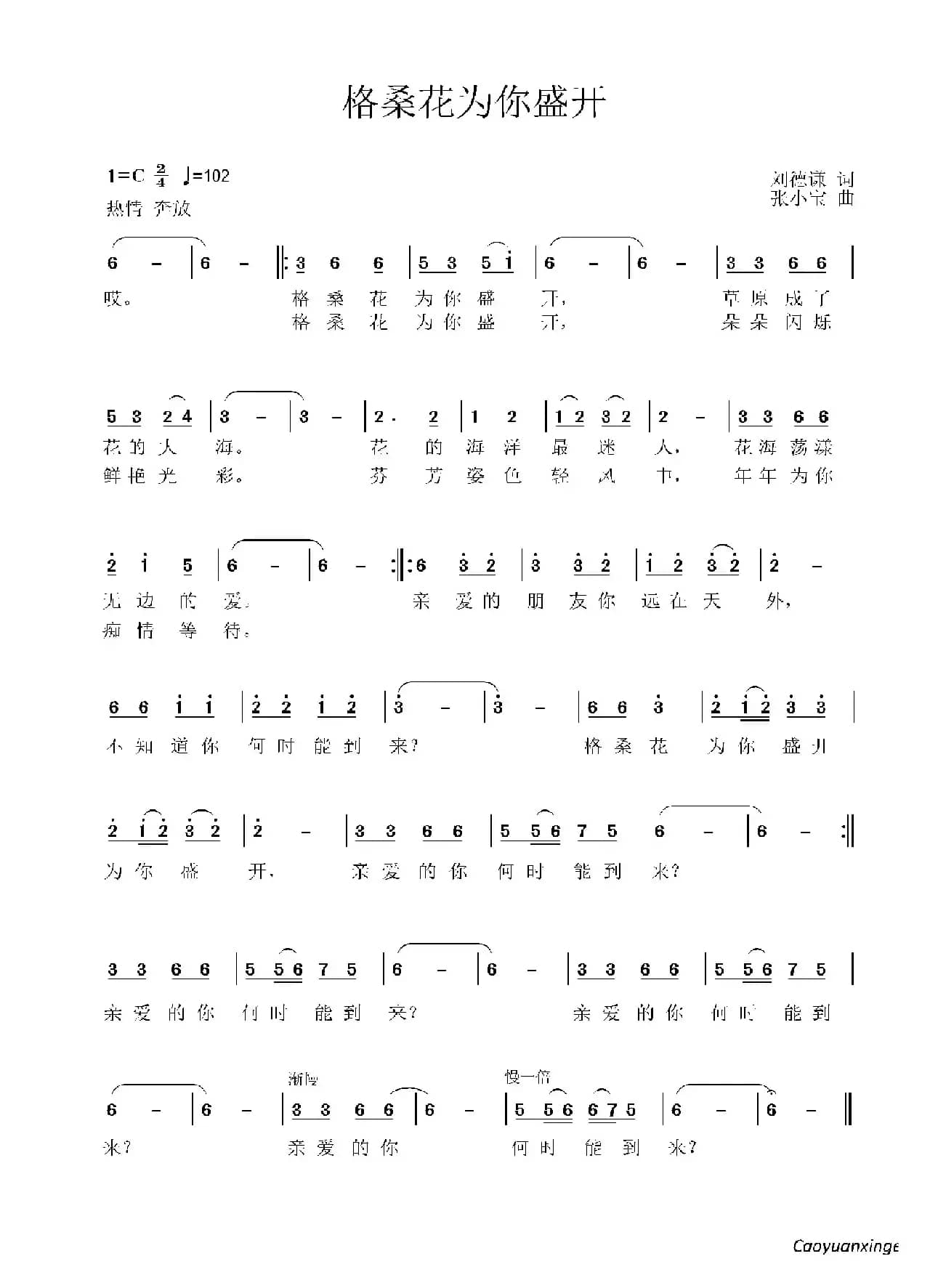 格桑花为你盛开