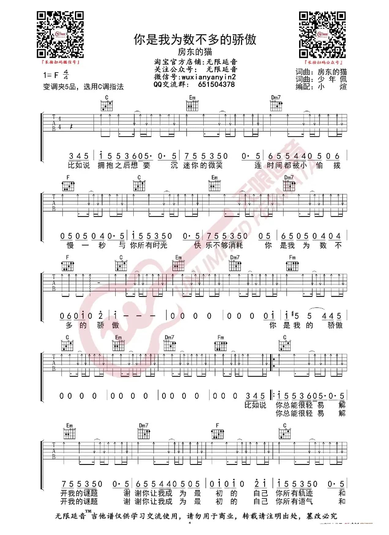 房东的猫 你是我为数不多的骄傲 吉他谱（无限延音编配）