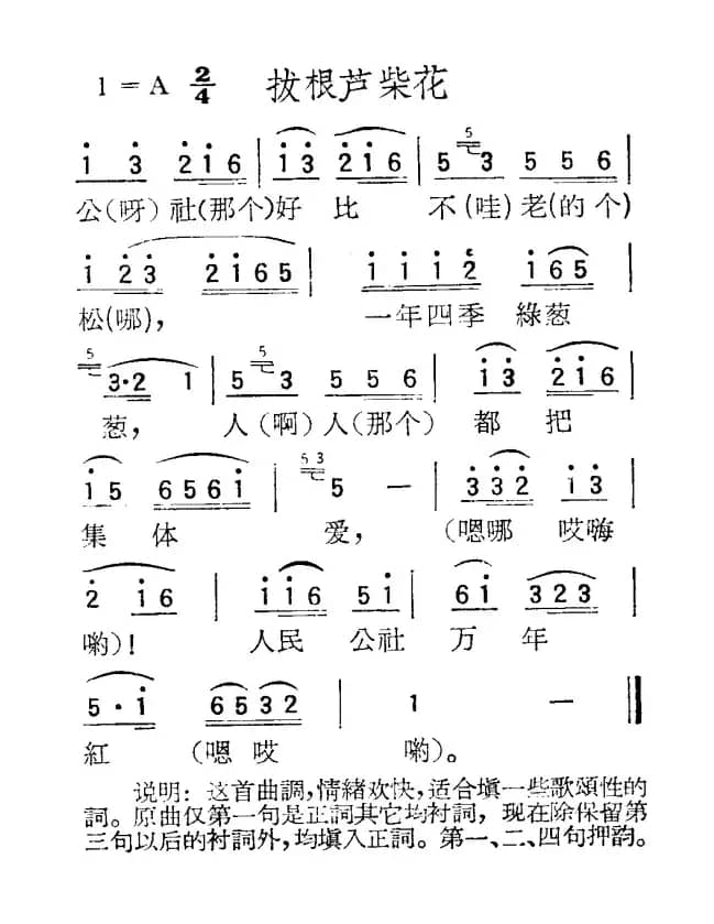 苏北小调：拔根芦柴花