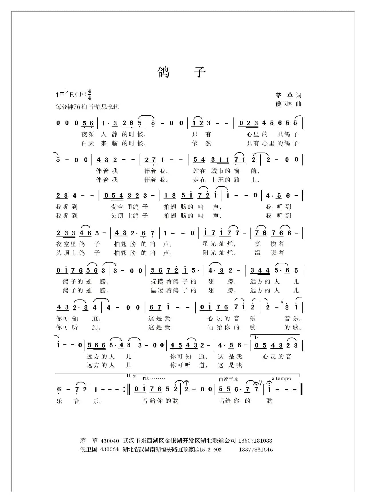 鸽子（茅草词 侯卫国曲）