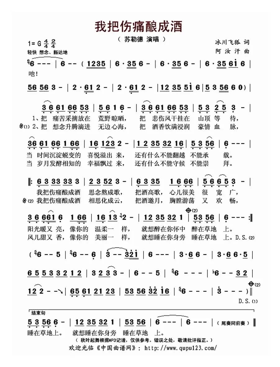 我把伤痛酿成酒