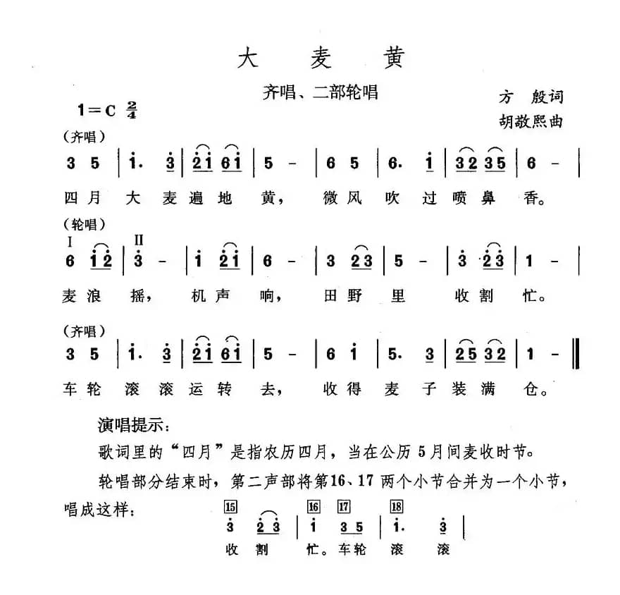 大麦黄
