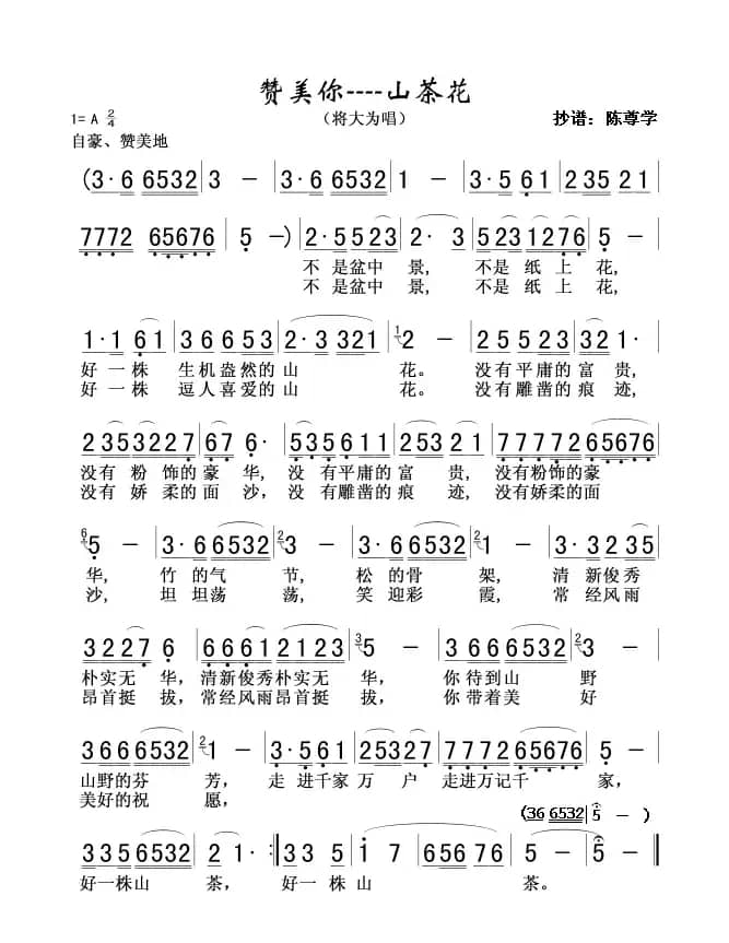 赞美你--山茶花