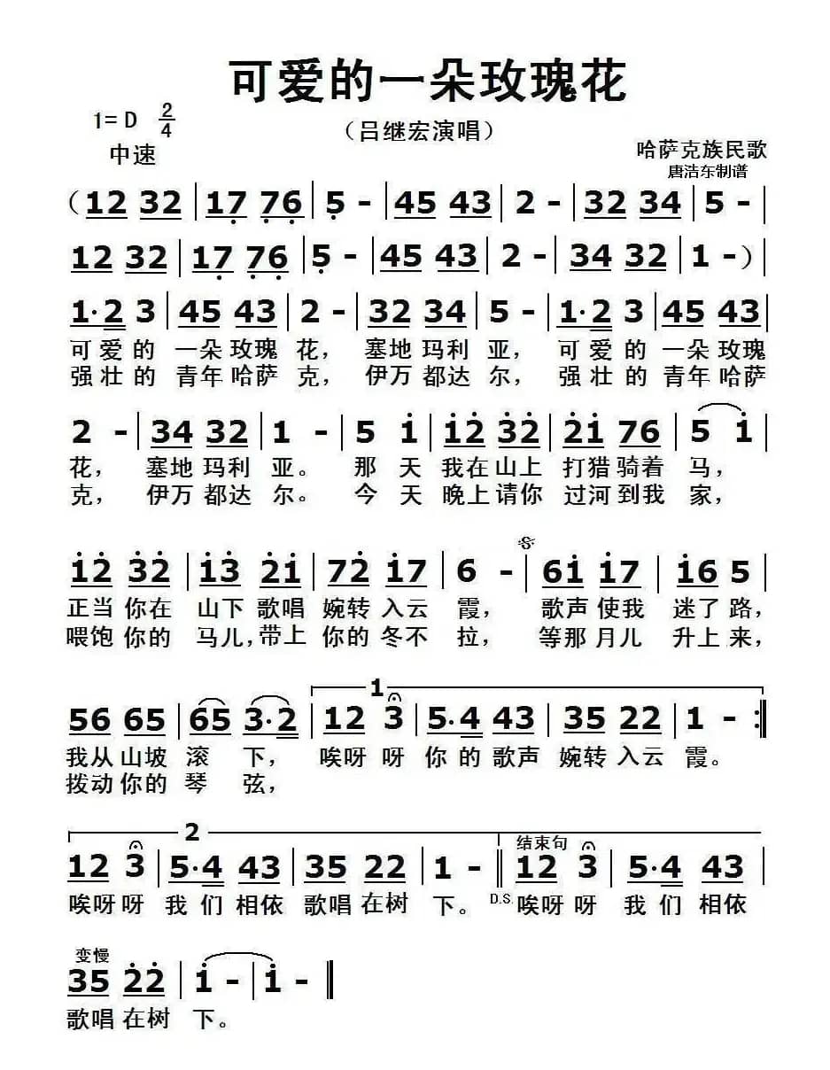 可爱的一朵玫瑰花