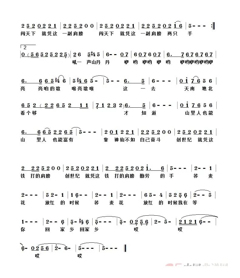 荞麦花放红的时候