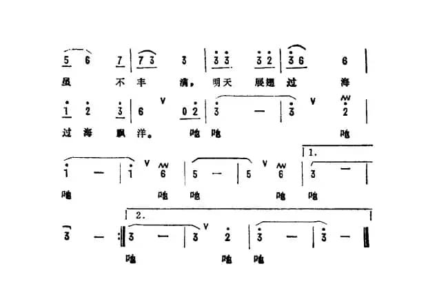 鹭岛，小鸟的天堂（儿童电视剧《鹭岛小球迷》主题曲）