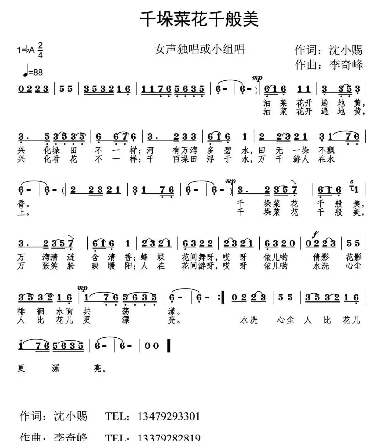 千垛菜花千般美