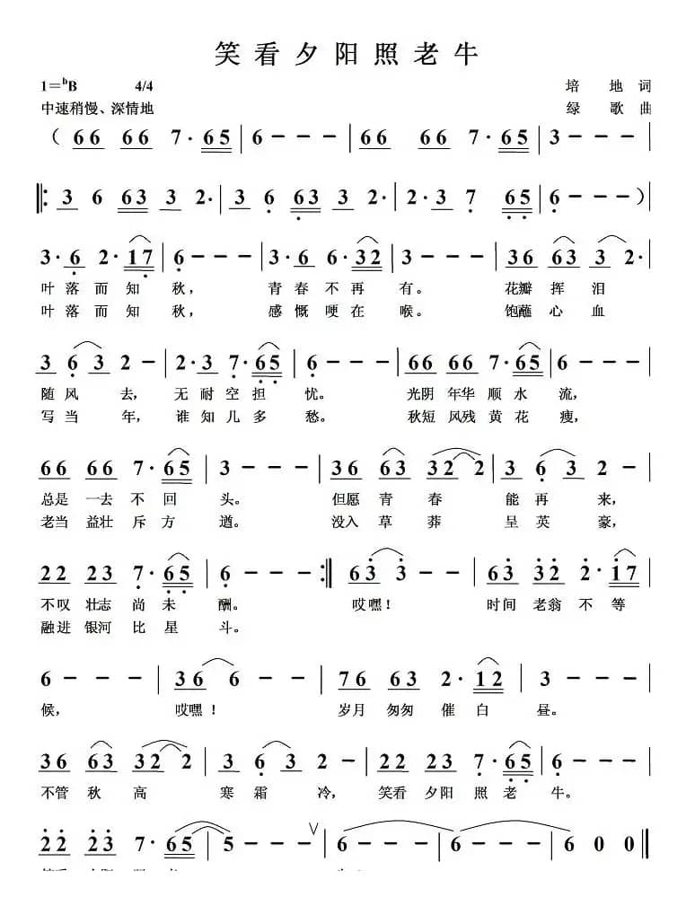 笑看夕阳照老牛