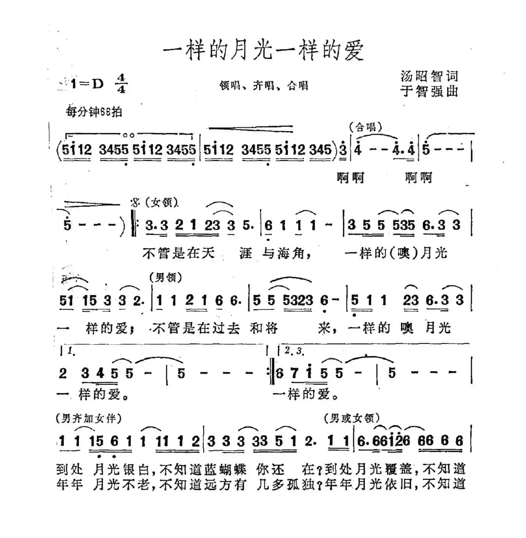 一样的月光一样的爱