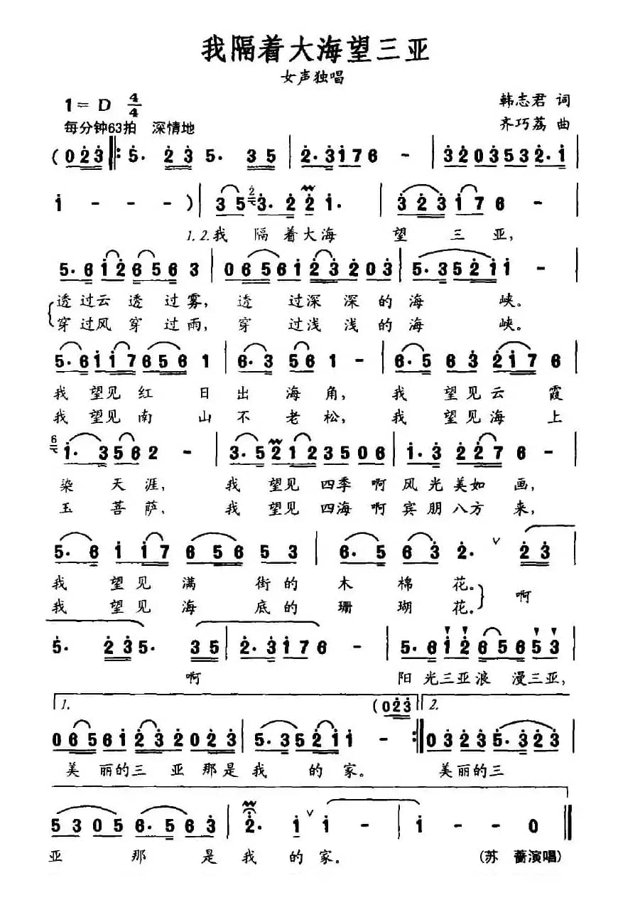 我隔着大海望三亚