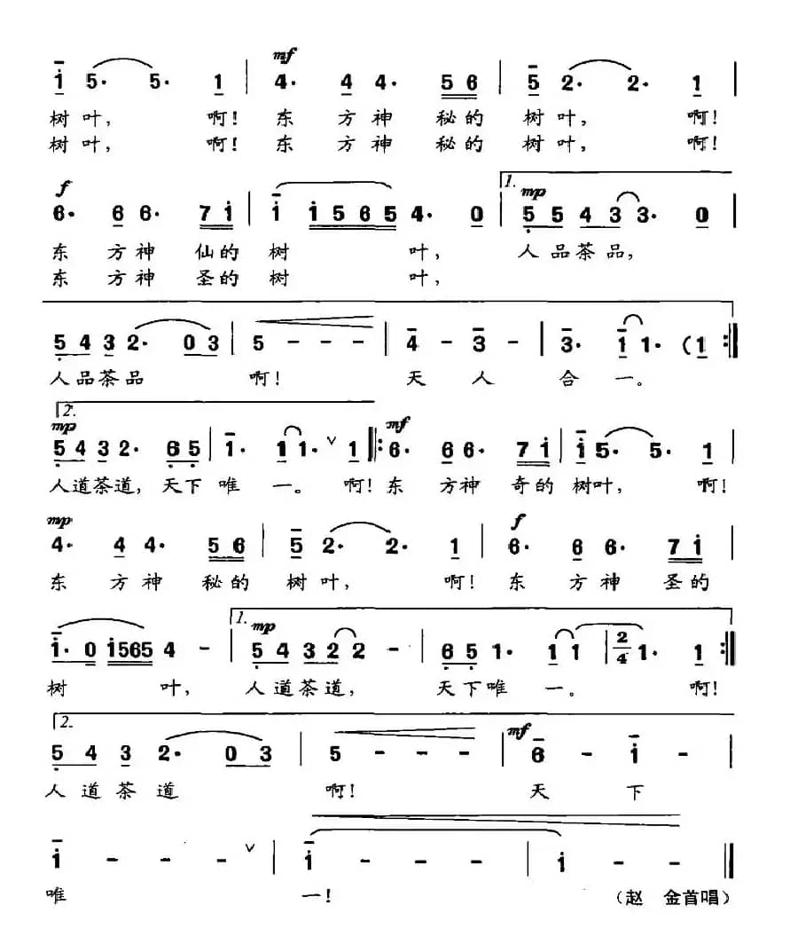 六堡茶，东方神奇的树叶
