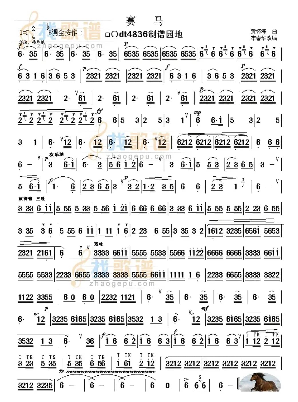 赛马（赛马葫芦丝版本）