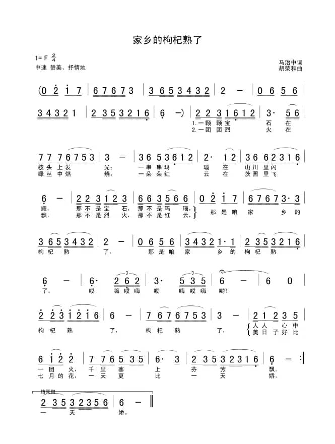 家乡的枸杞熟了