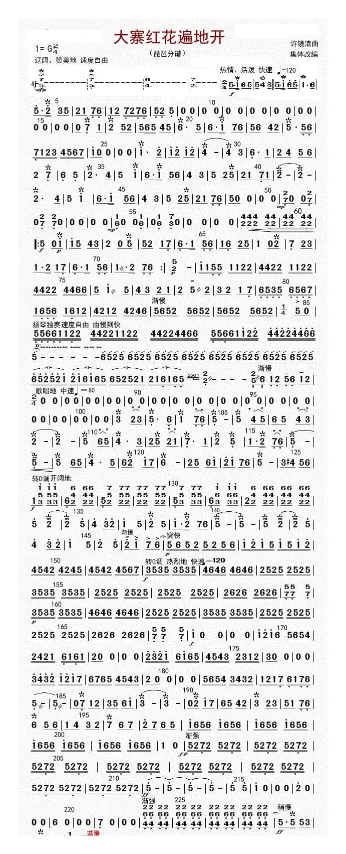 大寨红花遍地开（琵琶（修改版））