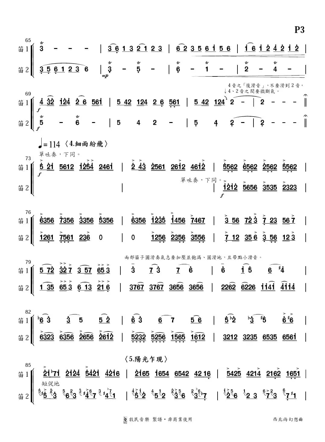 西北雨幻想曲（双笛+民族乐团）