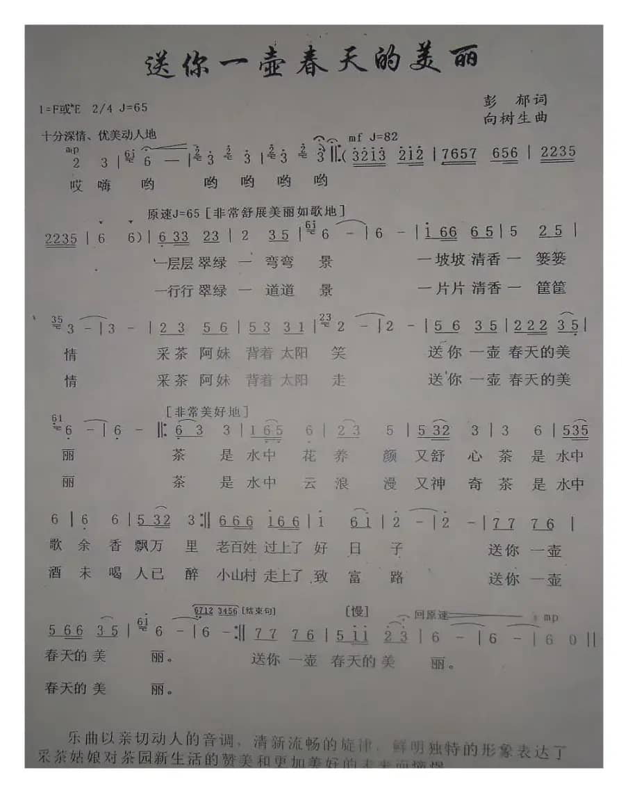 送你一壶春天的美丽
