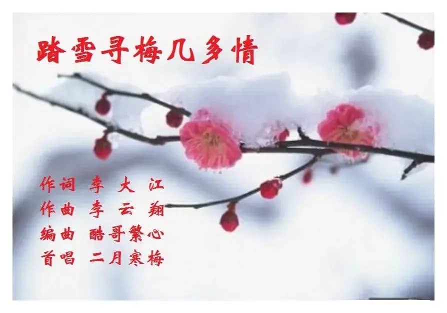 踏雪寻梅几多情
