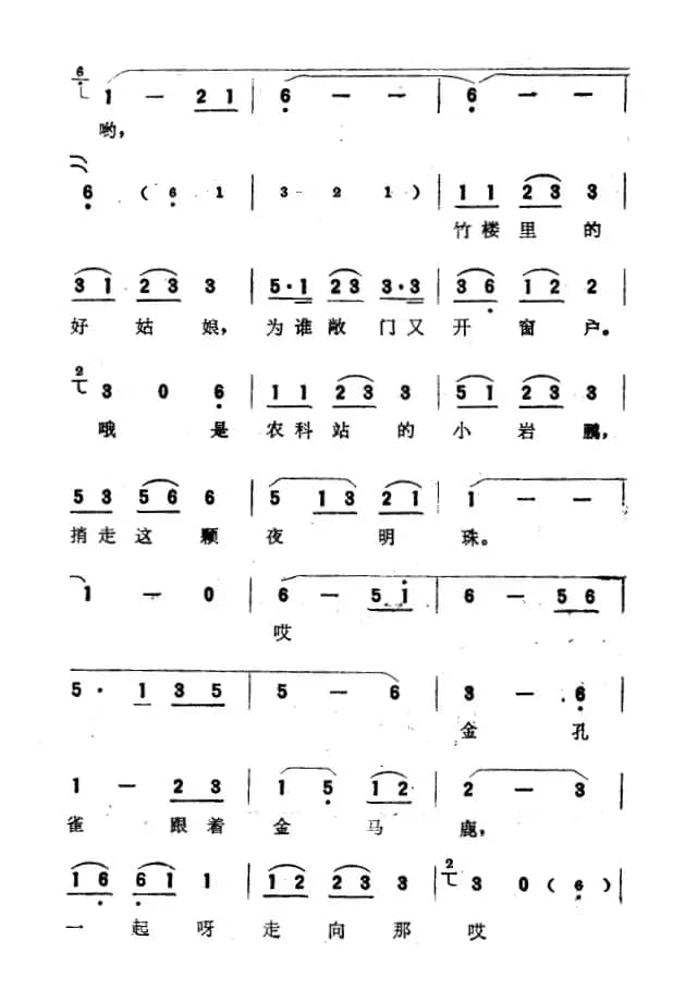 月光下的凤尾竹