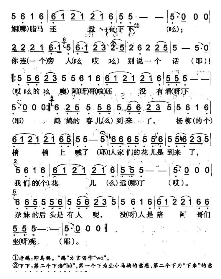 喜鹊窝里的灵芝草（吉木萨尔回族民歌）