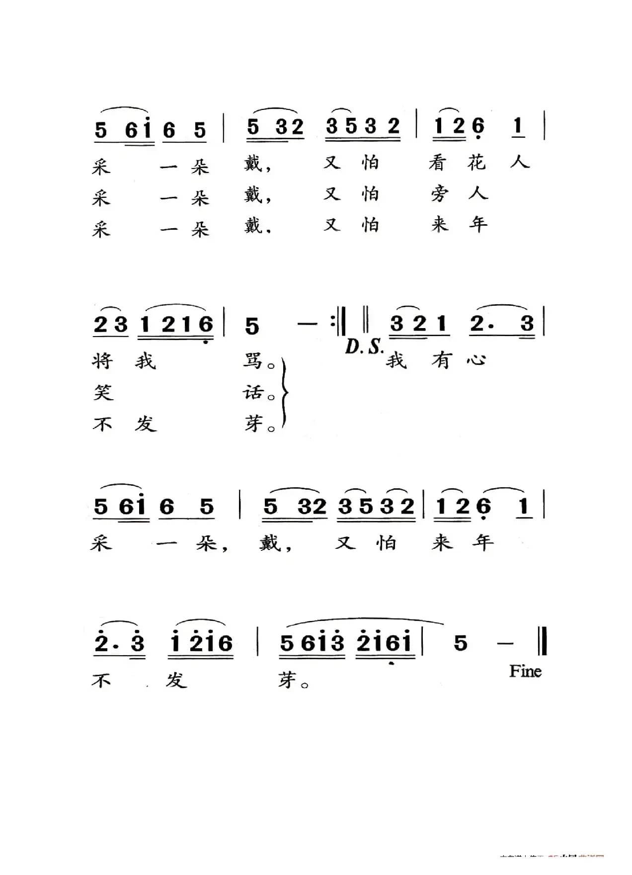 茉莉花（老人适用）