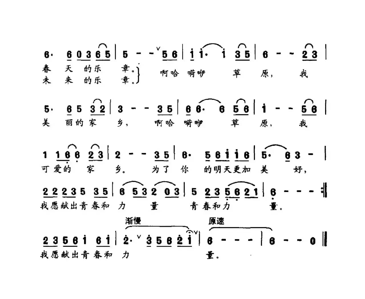 好美好美的大草原