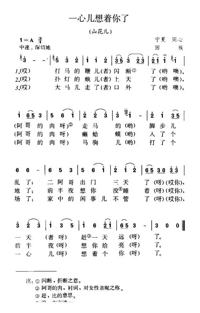 一心儿想着你了（山花儿）
