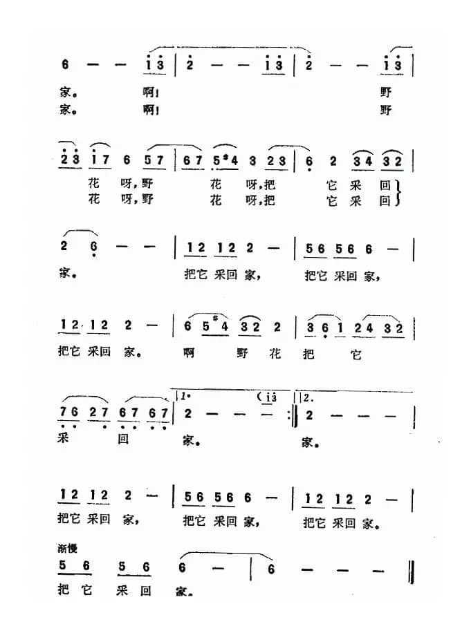 啊野花野花（故事影片《扬帆》插曲）