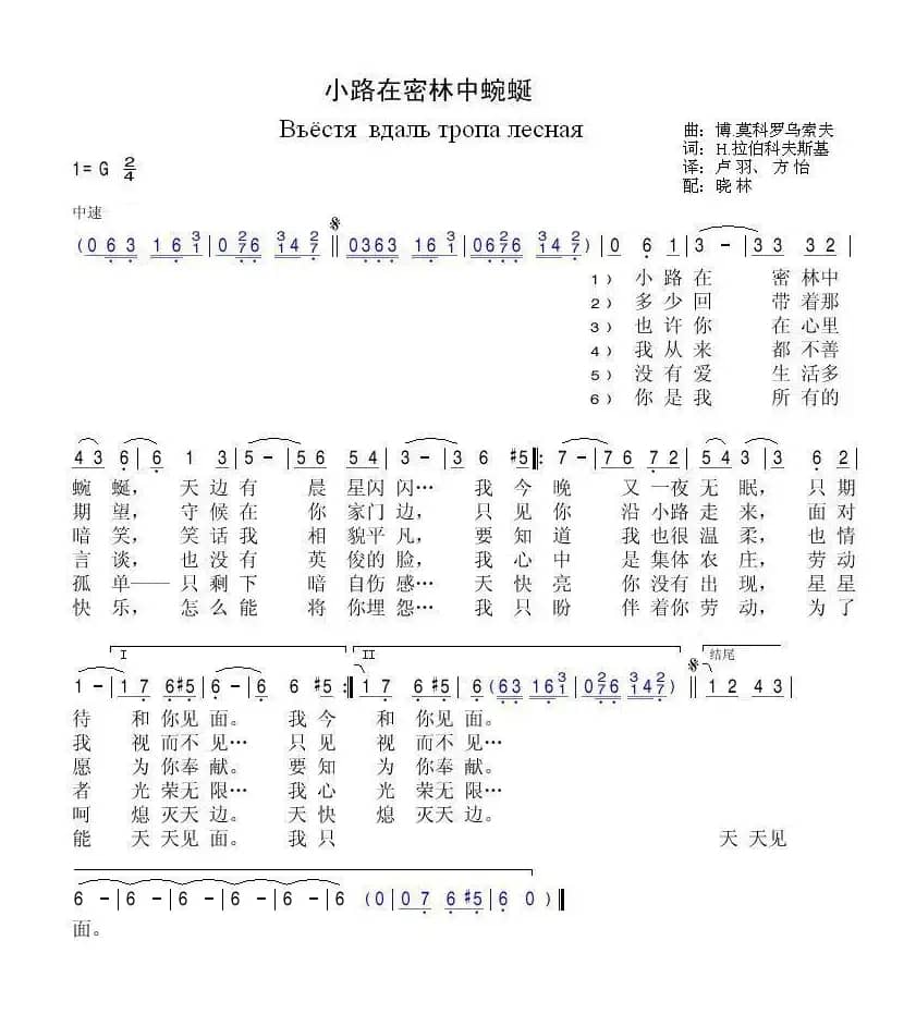 小路在密林中蜿蜒